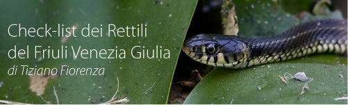 Check List Reptilia FVG - foto K. Kravos